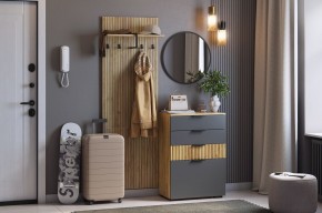 МЕБЕЛЬСОН К3 Прихожая (графит) в Глазове - glazov.mebel24.online | фото