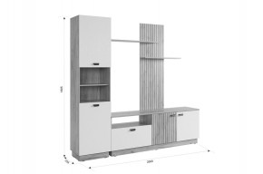 МОДИ К1 Гостиная (белое дерево) в Глазове - glazov.mebel24.online | фото 2