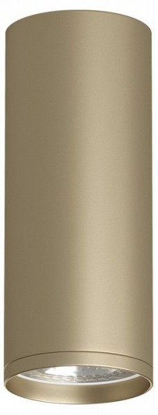 Накладной светильник Denkirs TUBE DK2051-SG в Глазове - glazov.mebel24.online | фото 1