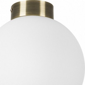 Накладной светильник Lightstar Globo 812021 в Глазове - glazov.mebel24.online | фото 3