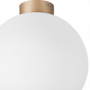Накладной светильник Lightstar Globo 812033 в Глазове - glazov.mebel24.online | фото 2