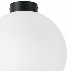 Накладной светильник Lightstar Globo 812037 в Глазове - glazov.mebel24.online | фото 3
