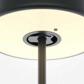 Настольная лампа декоративная Maytoni AI Collaboration MOD229TL-L3B3K2 в Глазове - glazov.mebel24.online | фото 5