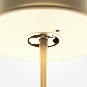 Настольная лампа декоративная Maytoni AI Collaboration MOD229TL-L3G3K2 в Глазове - glazov.mebel24.online | фото 5