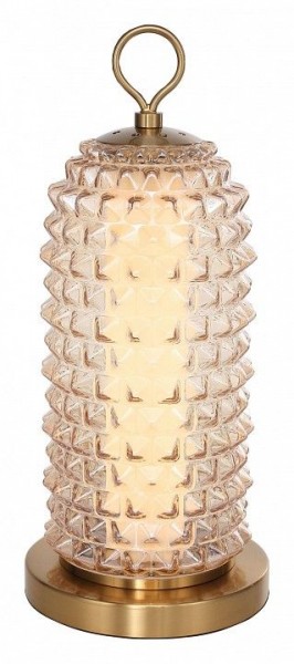 Настольная лампа декоративная ST-Luce SAGUARO SL6144.304.01 в Глазове - glazov.mebel24.online | фото 2