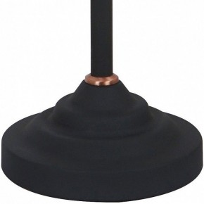 Настольная лампа офисная Arte Lamp Braccio A2054LT-1BK в Глазове - glazov.mebel24.online | фото 4