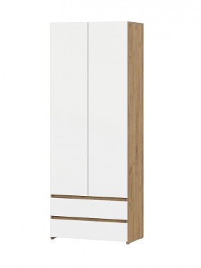 НЕКСТ 1 Шкаф двухстворчатый с ящиками в Глазове - glazov.mebel24.online | фото
