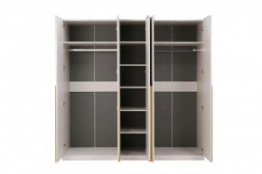 НИКОЛЬ 25 Шкаф 5-ти створчатый в Глазове - glazov.mebel24.online | фото 3
