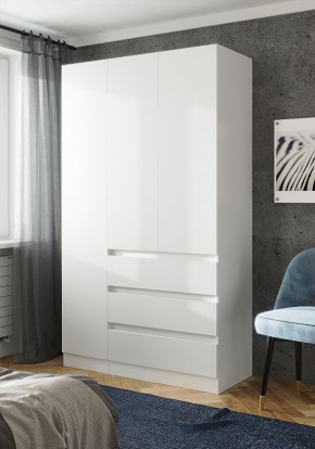 ПАРУС Шкаф 3-х ств. 1200 в Глазове - glazov.mebel24.online | фото