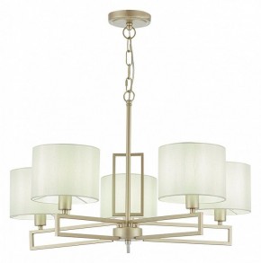 Подвесная люстра EVOLUCE Danae SLE105803-05 в Глазове - glazov.mebel24.online | фото 2