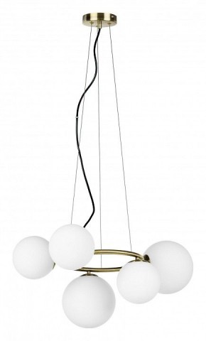 Подвесная люстра Lightstar Globo 815051 в Глазове - glazov.mebel24.online | фото 2