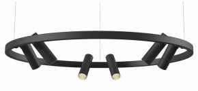 Подвесная люстра Maytoni Halo MOD102PL-L42BK в Глазове - glazov.mebel24.online | фото