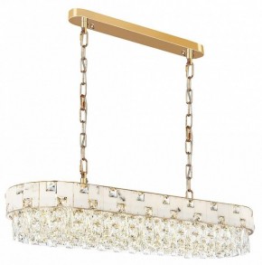 Подвесная люстра Odeon Light Chessi 5076/10 в Глазове - glazov.mebel24.online | фото 2