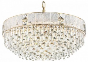 Подвесная люстра Odeon Light Fiesta 5070/21 в Глазове - glazov.mebel24.online | фото