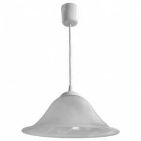 Подвесной светильник Arte Lamp Cucina A6430SP-1WH в Глазове - glazov.mebel24.online | фото 2