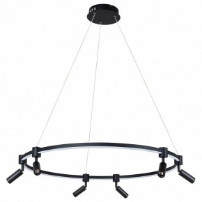 Подвесной светильник Arte Lamp Ring A2186SP-1BK в Глазове - glazov.mebel24.online | фото 2