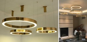 Подвесной светильник Imperiumloft Light Ring Horizontal 40,1454 в Глазове - glazov.mebel24.online | фото 2