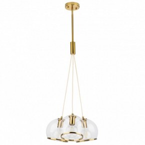 Подвесной светильник Lightstar Sferico 729031 в Глазове - glazov.mebel24.online | фото 2