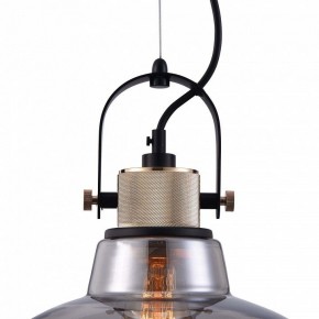 Подвесной светильник Maytoni Irving T163PL-01C в Глазове - glazov.mebel24.online | фото 9