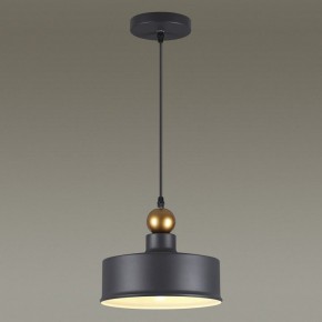 Подвесной светильник Odeon Light Bolli 4088/1 в Глазове - glazov.mebel24.online | фото 4