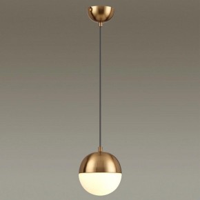 Подвесной светильник Odeon Light Pinga 4960/1 в Глазове - glazov.mebel24.online | фото 2