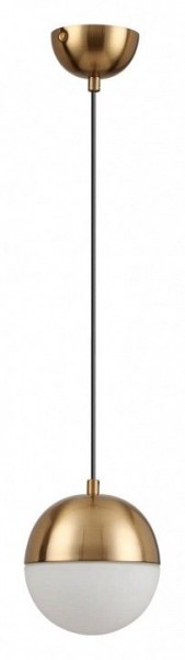 Подвесной светильник Odeon Light Pinga 4960/1 в Глазове - glazov.mebel24.online | фото 3