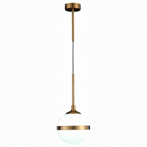 Подвесной светильник ST-Luce Arbe SL1157.303.01 в Глазове - glazov.mebel24.online | фото 3