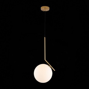 Подвесной светильник ST-Luce Codda SL1148.303.01 в Глазове - glazov.mebel24.online | фото 5