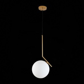 Подвесной светильник ST-Luce Codda SL1148.303.01 в Глазове - glazov.mebel24.online | фото 6