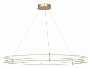 Подвесной светильник ST-Luce FAGY SL6245.213.01 в Глазове - glazov.mebel24.online | фото 2