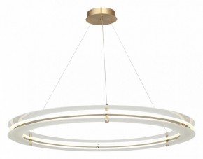 Подвесной светильник ST-Luce FAGY SL6245.213.01 в Глазове - glazov.mebel24.online | фото 4