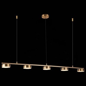 Подвесной светильник ST-Luce Pances SL6000.303.05 в Глазове - glazov.mebel24.online | фото 5
