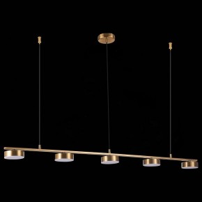 Подвесной светильник ST-Luce Pances SL6000.303.05 в Глазове - glazov.mebel24.online | фото 6