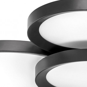 Потолочная люстра Lightstar Breve 749081 в Глазове - glazov.mebel24.online | фото 4