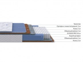 PROxSON Матрас Active Duo M/F (Ткань Трикотаж Эко) 120x190 в Глазове - glazov.mebel24.online | фото 2
