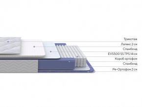 PROxSON Матрас Active Duo S/F (Ткань Трикотаж Эко) 160x190 в Глазове - glazov.mebel24.online | фото 3