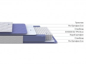 PROxSON Матрас Active F (Ткань Трикотаж Эко) 80x195 в Глазове - glazov.mebel24.online | фото 2