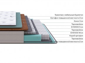 PROxSON Матрас Elysium Firm (Трикотаж Spiral-RT) 80x200 в Глазове - glazov.mebel24.online | фото 2