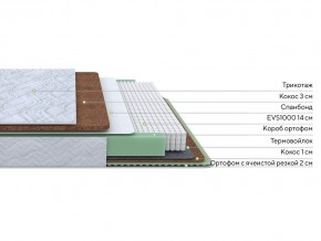 PROxSON Матрас Green Duo M/F (Tricotage Dream) 140x195 в Глазове - glazov.mebel24.online | фото 2