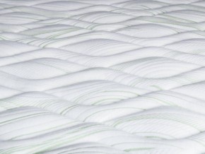 PROxSON Матрас Green F (Tricotage Dream) 80x200 в Глазове - glazov.mebel24.online | фото 8