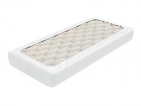PROxSON Защитный чехол Aqua Save Light M (Ткань влагостойкая Tencel Jersey) 80x190 в Глазове - glazov.mebel24.online | фото 2