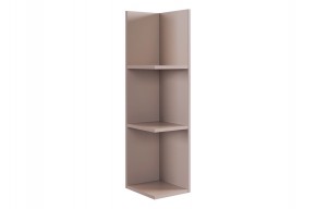 РИЧ Полка навесная 2 (кашемир) в Глазове - glazov.mebel24.online | фото 4