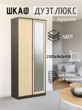 Шкаф 2-х створчатый Дуэт Люкс с зеркалом в Глазове - glazov.mebel24.online | фото