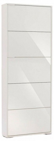 Шкаф для обуви Viva-5S в Глазове - glazov.mebel24.online | фото