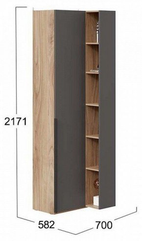 Шкаф комбинированный Порто СМ-393.21.024 в Глазове - glazov.mebel24.online | фото 2