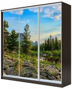 Шкаф-купе ХИТ 22-18/2-777 ПРИРОДА в Глазове - glazov.mebel24.online | фото