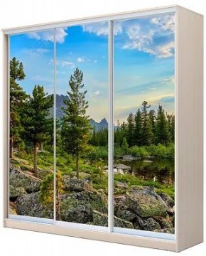Шкаф-купе ХИТ 22-20-777 ПРИРОДА в Глазове - glazov.mebel24.online | фото