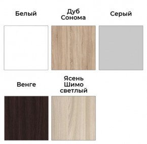 Шкаф-купе ХИТ 22-4-14-11 (420) в Глазове - glazov.mebel24.online | фото 3