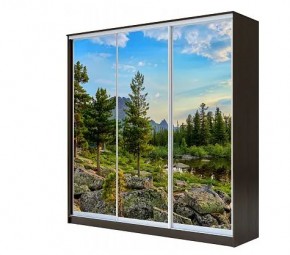 Шкаф-купе ХИТ 22-4-20-777 (420) в Глазове - glazov.mebel24.online | фото