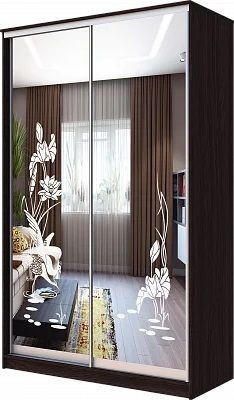 Шкаф-купе ХИТ 23-15-66 ЦАПЛИ в Глазове - glazov.mebel24.online | фото